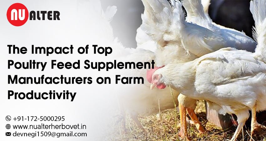 Poultry Feed Supplement Manufacturers